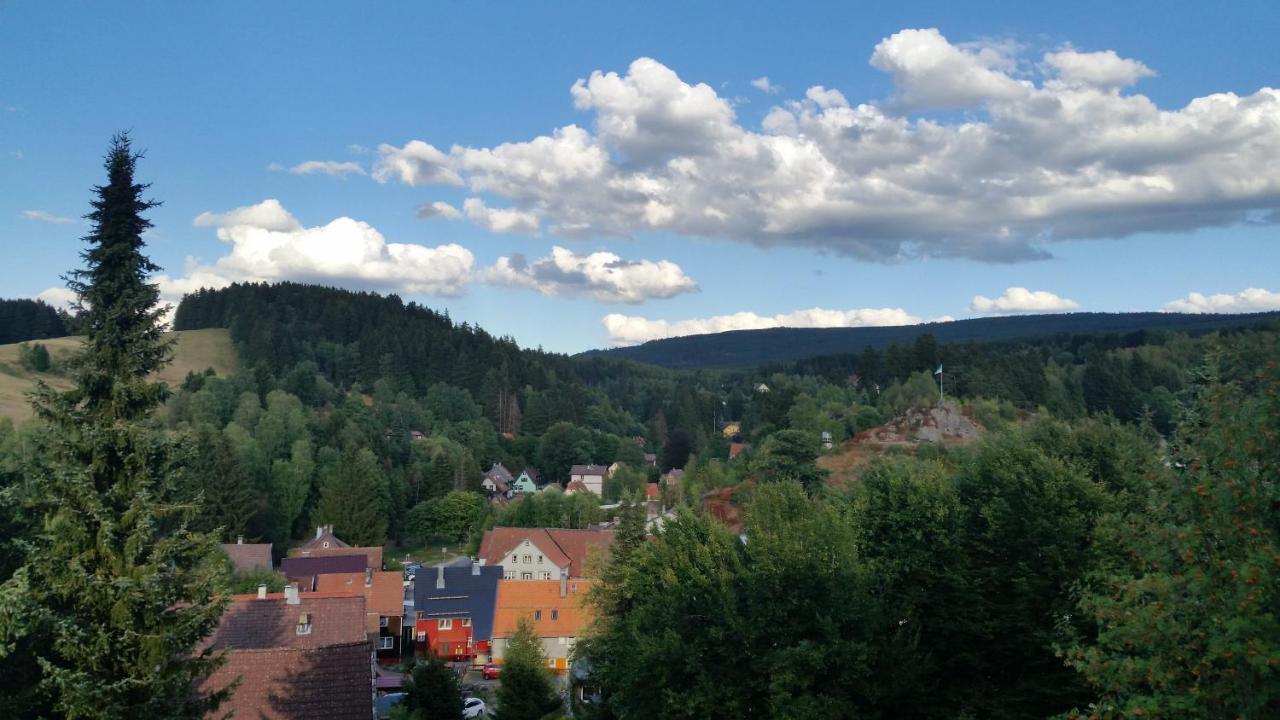 Haus Petra Nocleg ze śniadaniem Altenau (Lower-Saxony)